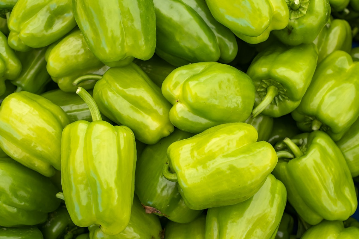 Saponinen in grünen Paprika